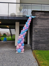 Ballonboog "Zeemeerminstaart"