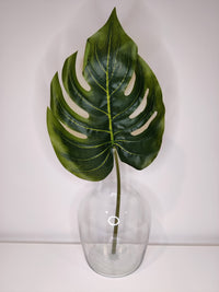 Blad "Monstera" groot