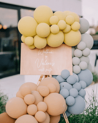 Welkomstbord hout met ballonboog - kleuren naar keuze